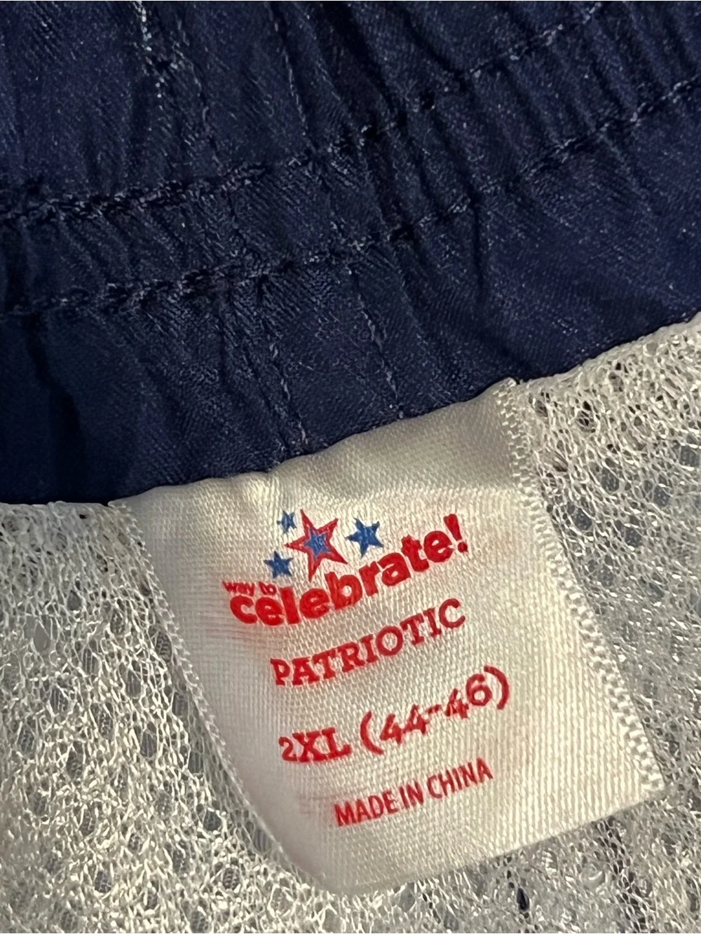 Men's Light Blue Patriotic Print Swim Trunks